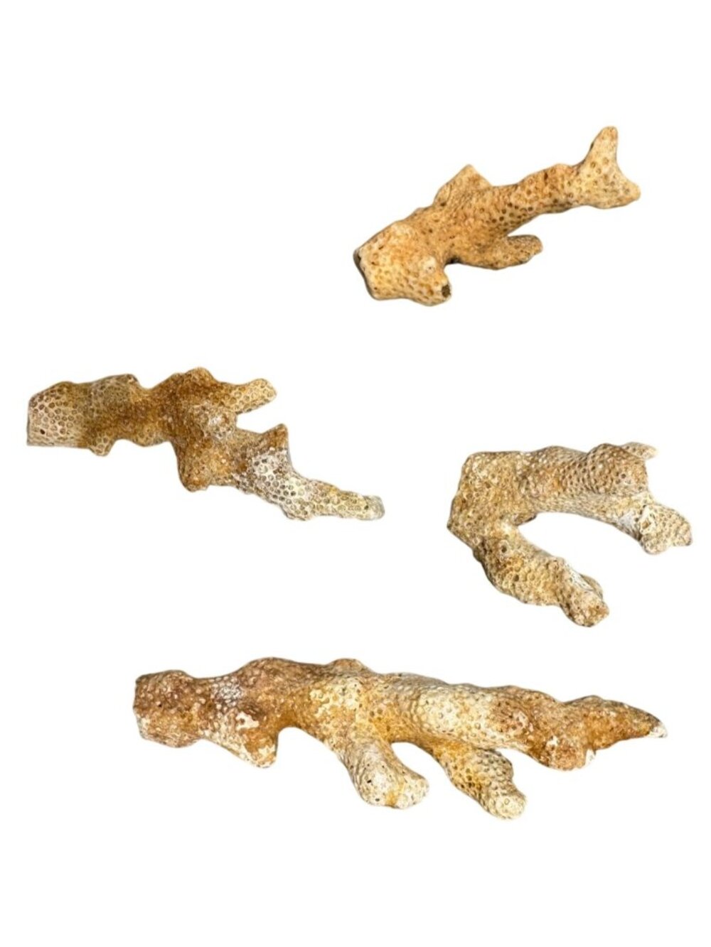 Natural Coral Branches For Aquarium Décor Crafts Or Display READ